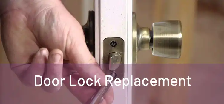  Door Lock Replacement 